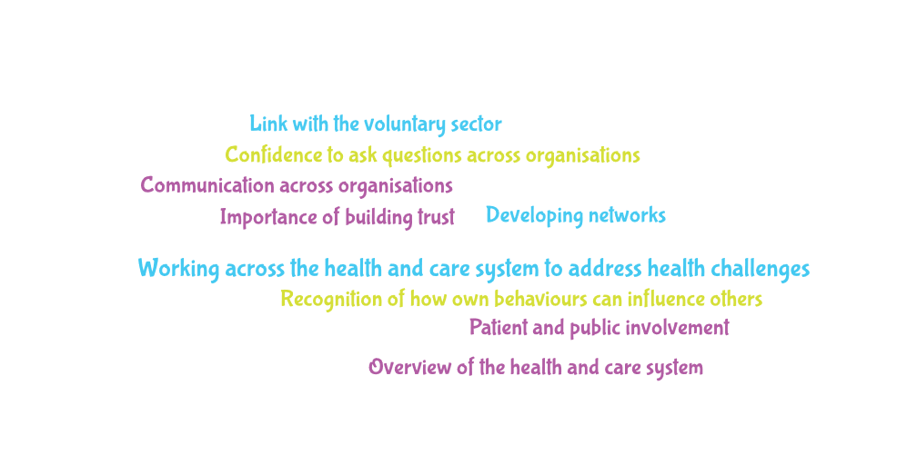 Insights taken from Cohort 2:
1. Link with the voluntary sector
2. Confidence to ask questions across organisations
3. Communication across organisations
4. Importance of building trust
5. Developing networks
6. Working across the health and care system to address health challenges
7. Recognition of how behaviours can influence each other
8. Patient and public involvement
9. Overview of the health and care system