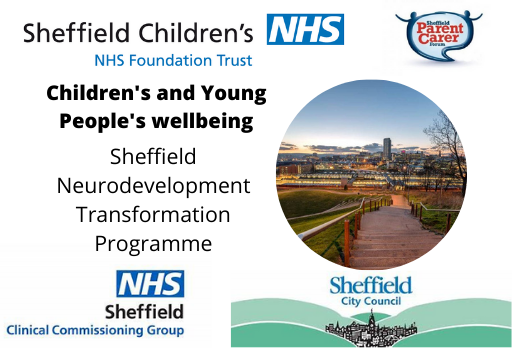 Children and Young People's wellbeing - Sheffield Neurodevelopment Transformation Programme