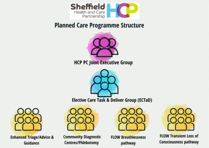 Planned Care Structure Governance Diagram 1. HCP PC Joint Executive Group 2. Elective Task & Finish Group 3.1 Enhanced Triage/Advice and Guidance 3.2 Community Diagnostic Centres/Phlebotomy 3.3 FLOW Breathlessness Pathway 3.4 FLOW Transient Loss of Consciousness Pathway